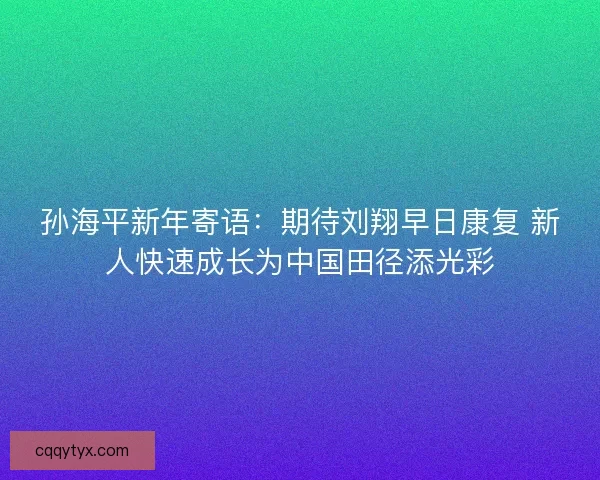 孙海平新年寄语：期待刘翔早日康复 新人快速成长为中国田径添光彩